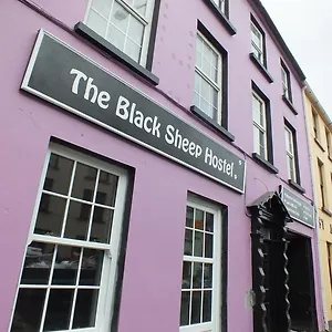 The Black Sheep Cill Airne